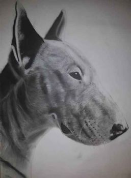 "Bullie"