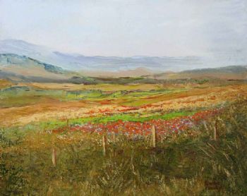 "Nieuwoudtville Spring Flowers RSA"