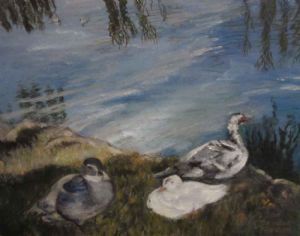 "Cape Town Duck Pond"