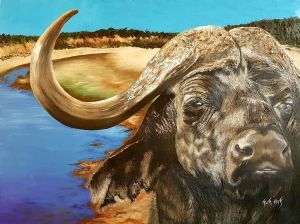 "Buffalo"