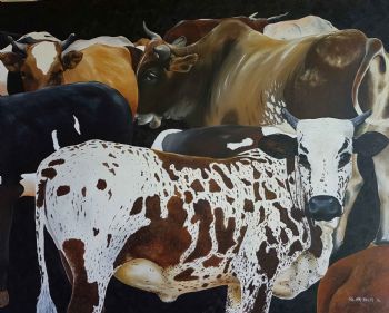 "Nguni"