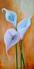 "Arum Lilly's"