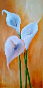 "Arum Lilly's"