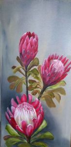 "Protea's"