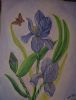 "Lilac Irises"