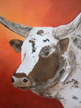 "Nguni 2"