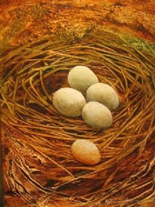 "Nest"