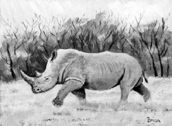 "Monochrome Rhino"