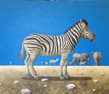 "Zebra In Focus"