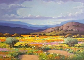 "Suddenly Bright Patches of Colour"