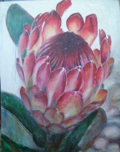 "Great Protea"