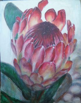 "Great Protea"