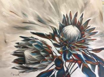 "Protea"
