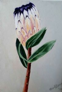 "Mink Protea "