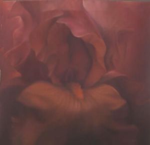 "Iris 1"