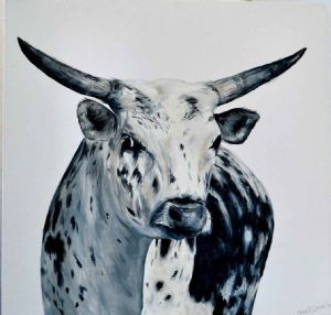 "Nguni 2"