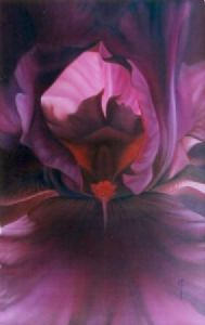 "Iris 2"