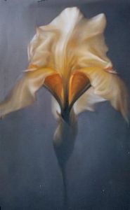 "Iris 4"