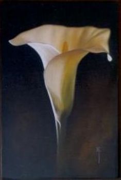 "Lily 1"