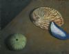 "Onderstebo Perlemoen (Upside down Abalone)"