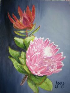 "Protea 4"