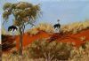 "Ostritches in Kalahari on dunes"