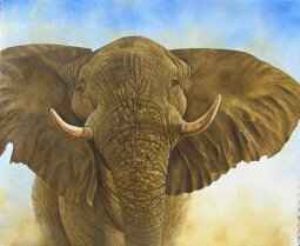 "Charging Bull "