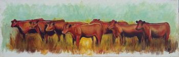 "Cattle"