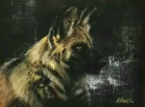 "African Wild Dog - 2"