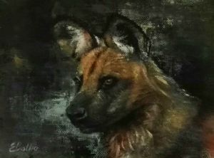 "African Wild Dog - 5"