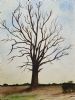 "Tree"
