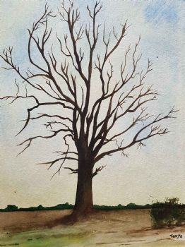 "Tree"