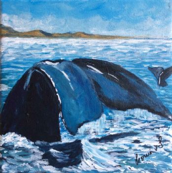 "Whales Performing"