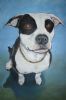 "Pit Bull"