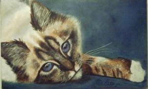 "Birman"