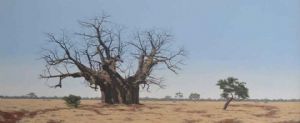 "Baobab"