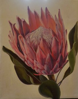 "Pienk Protea"