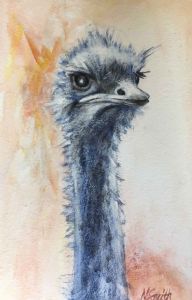 "The Look!"