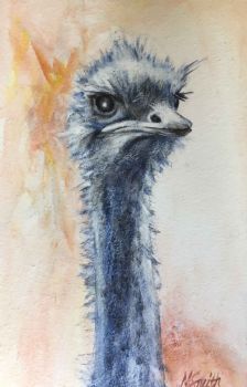 "The Look!"