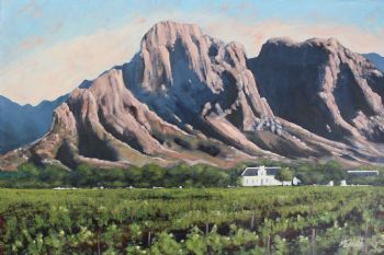 "Cape Winelands "