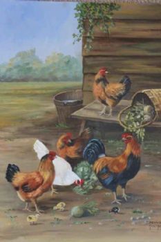 "My Chickens"