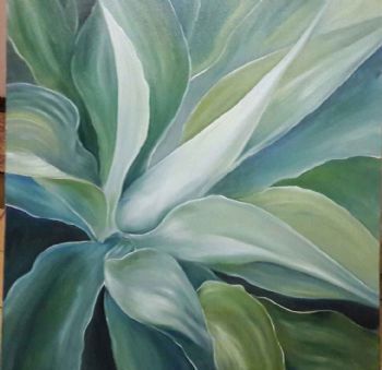 "Agave"