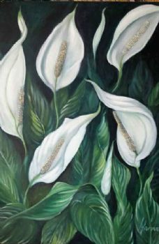 "Peace Lillies"