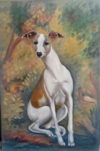 "Whippet"