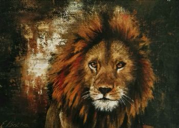 "Lion 1"