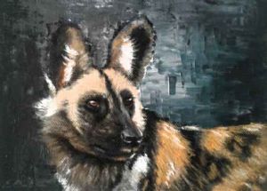 "African Wild Dog 5"