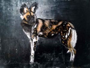 "African Wild Dog 6"