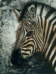 "Zebra 1"