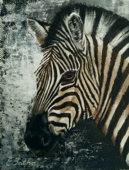 "Zebra 1"