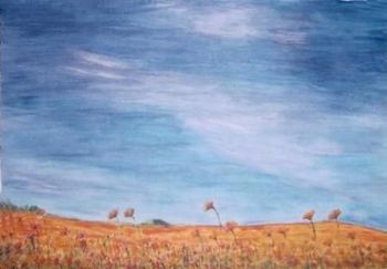 "Namaqualand"